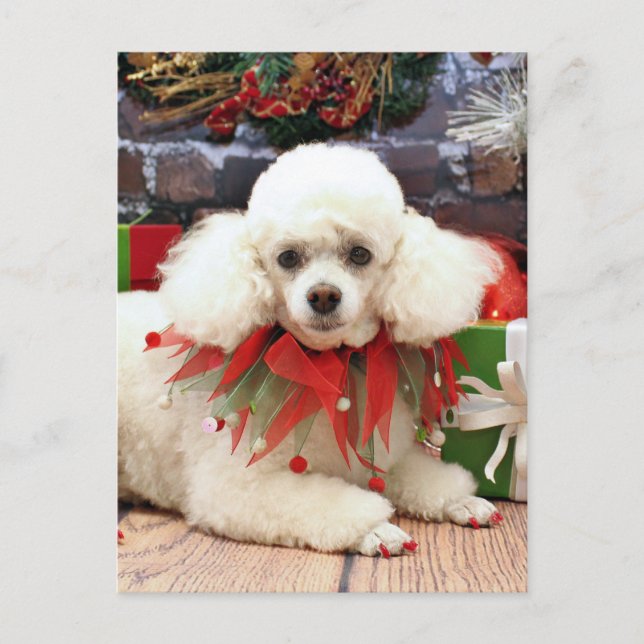 Postal Festiva Navidades - Poodle - Sophie (Anverso)
