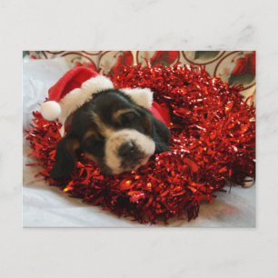 Postal Festiva Navidades Postcard Basset Hound