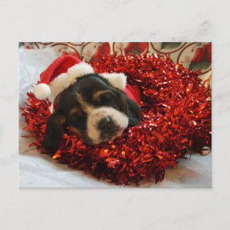 Postal Festiva Navidades Postcard Basset Hound
