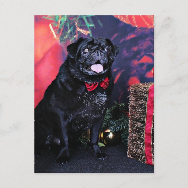 Postal Festiva Navidades - Pug - Little Moe (Anverso)