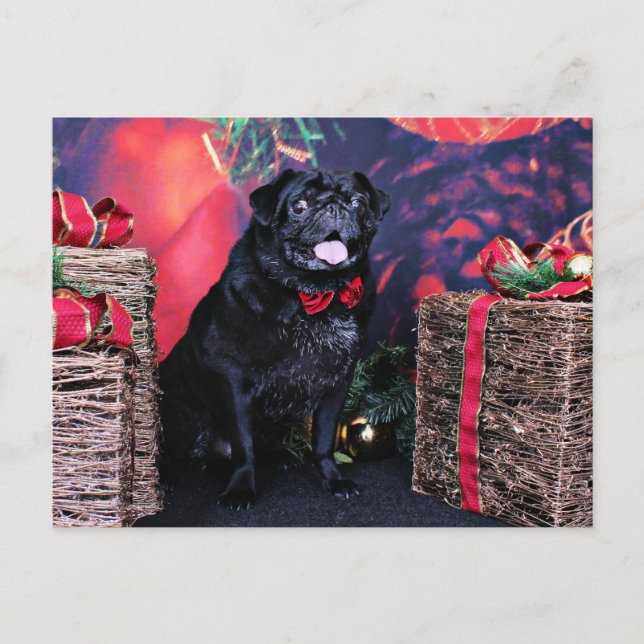 Postal Festiva Navidades - Pug - Little Moe (Anverso)