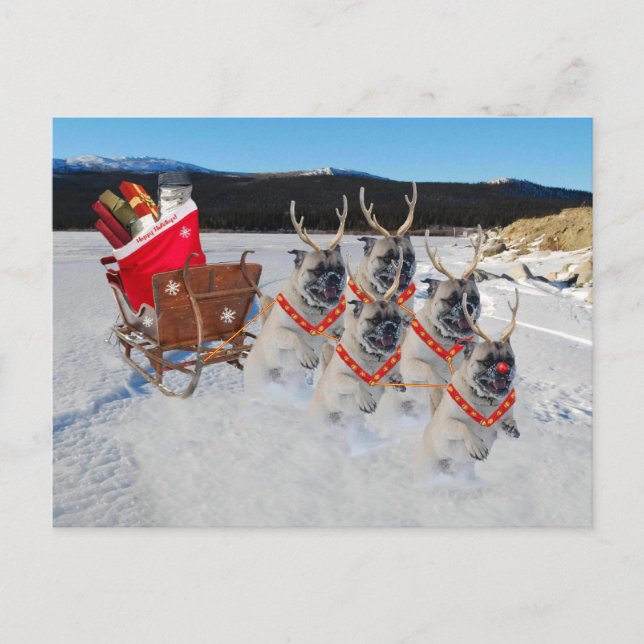 Postal Festiva Navidades pug perros sacando un Sleigh (Anverso)