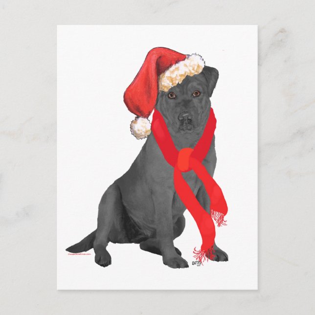 Postal Festiva Navidades recuperadores del labrador negro (Anverso)