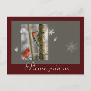 Postal Festiva Navidades Red Gray Birds Cardinal Wood Pecker