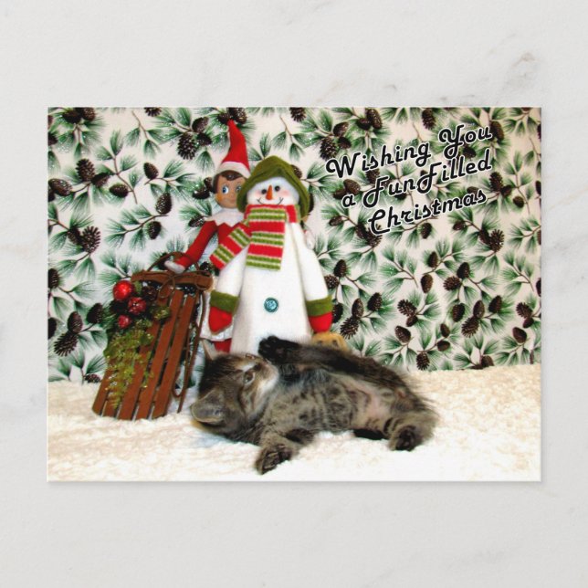 Postal Festiva Navidades rellenos de diversión de Patton - Gato / (Anverso)