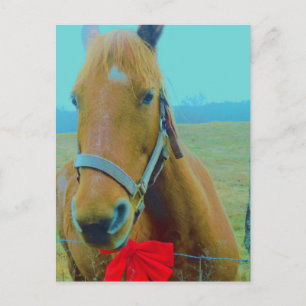 Postal Festiva navidades retro Caballo