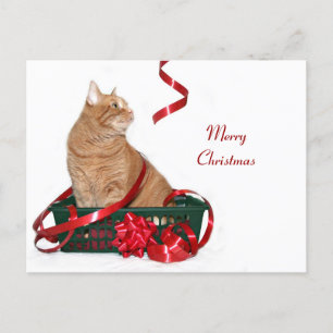 Postal Festiva Navidades ribbon kitty