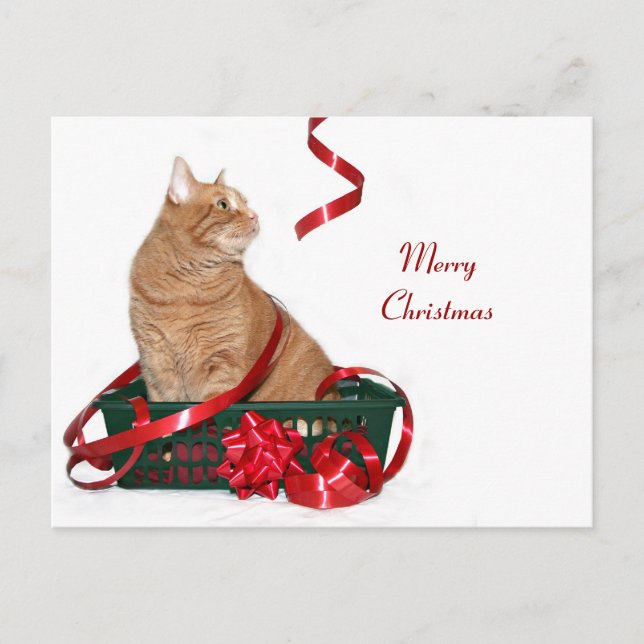 Postal Festiva Navidades ribbon kitty (Anverso)