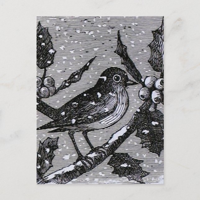 Postal Festiva Navidades Robin Vintage Engraving (Anverso)