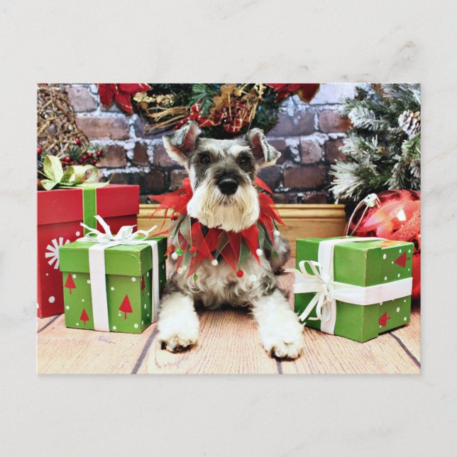 Postal Festiva Navidades - Schnauzer - Petunia (Anverso)