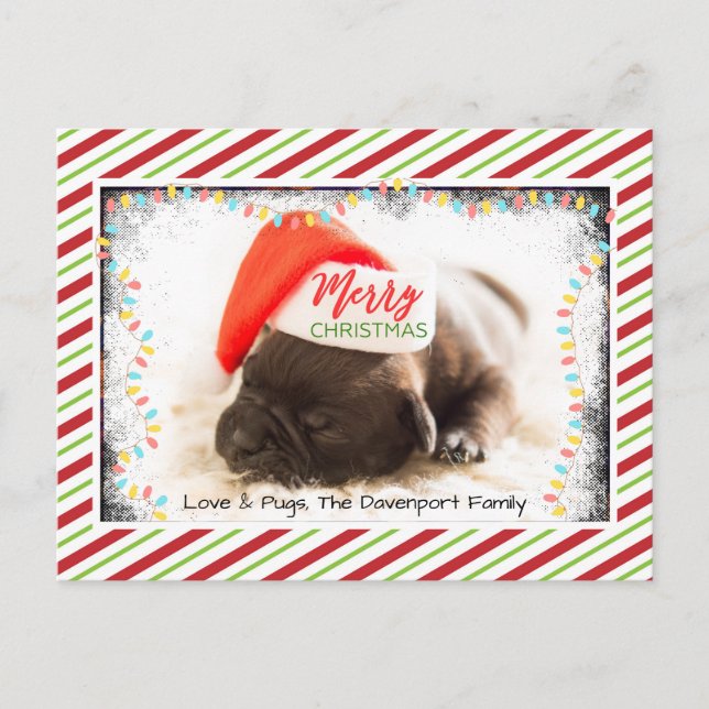 Postal Festiva Navidades se pug en Santa Hat con luces Navidades (Anverso)