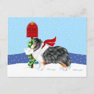 Postal Festiva Navidades Sheltie Mail Tri Color