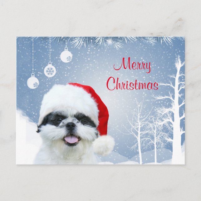 Postal Festiva Navidades Shih Tzu (Anverso)