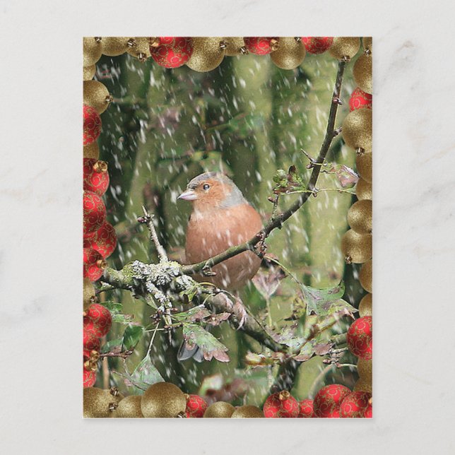 Postal Festiva Navidades Snowy (Anverso)
