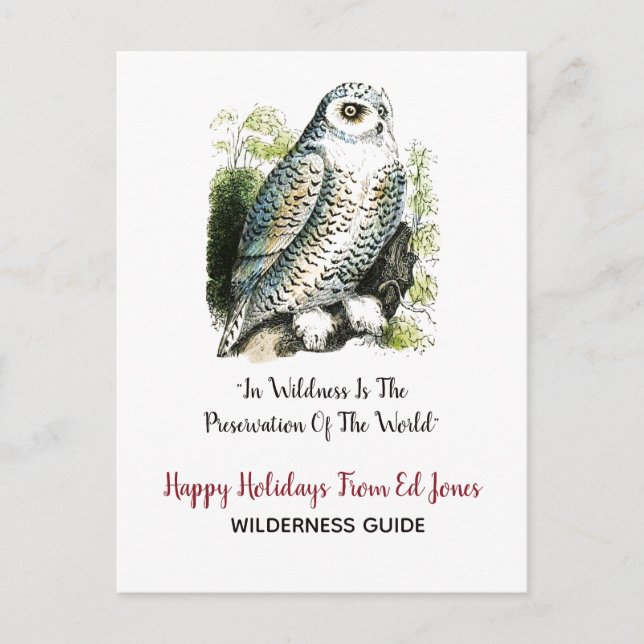 Postal Festiva Navidades Snowy Owl (Anverso)