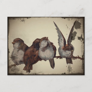 Postal Festiva Navidades Sparrows