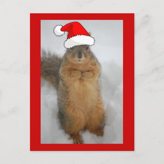 Postal Festiva Navidades Squirrel (Anverso)