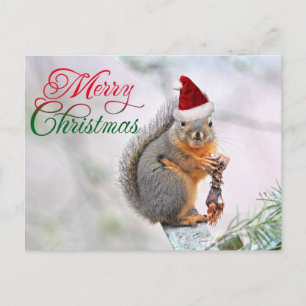 Postal Festiva Navidades Squirrel usando Gorra de Santa Claus