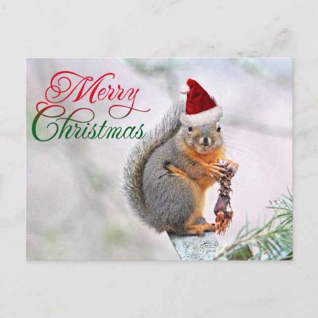 Postal Festiva Navidades Squirrel usando Gorra de Santa Claus (Anverso)