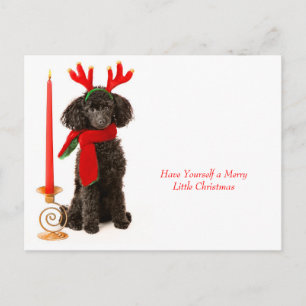 Postal Festiva Navidades Toy Poodle Dog