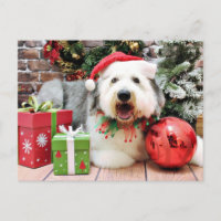 Navidades - Viejo perro pastor inglés - Alphy