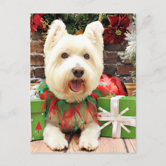 Postal Festiva Navidades - Westie - Lucky (Anverso)