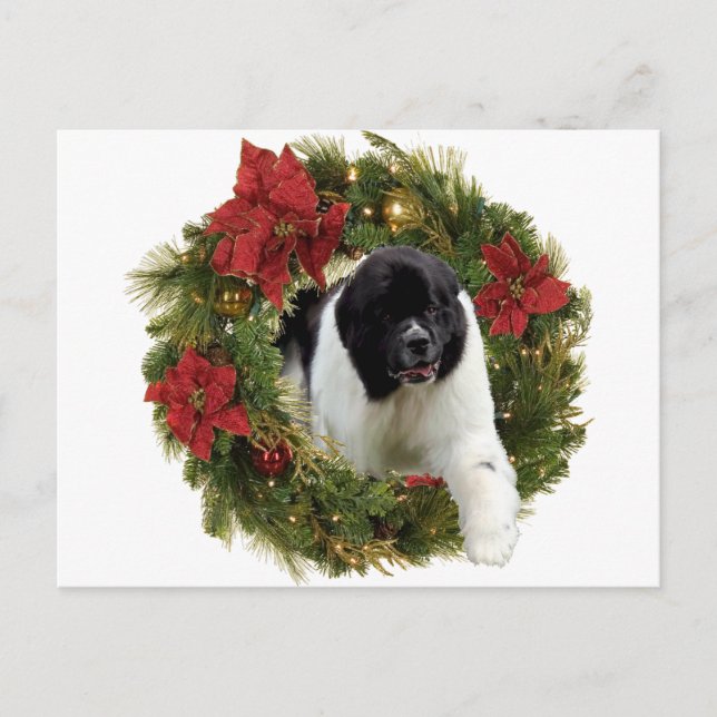 Postal Festiva Navidades Wreath Newf Landseer (Anverso)