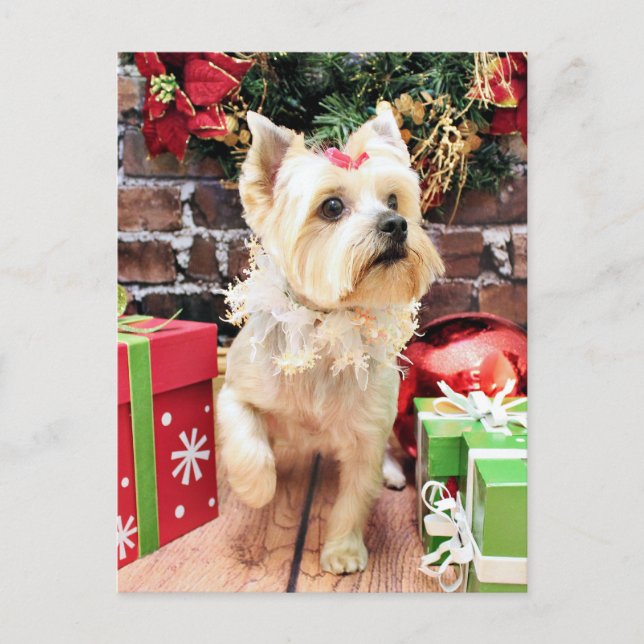 Postal Festiva Navidades - Yorkie - Dorie (Anverso)