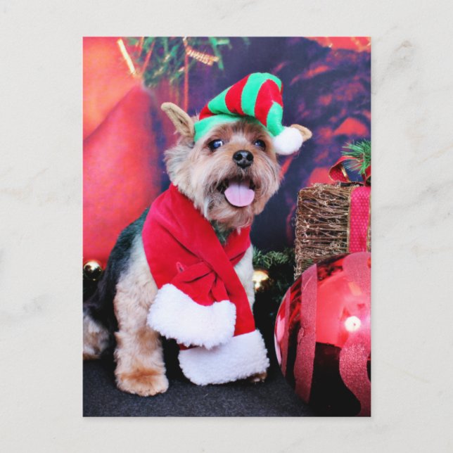 Postal Festiva Navidades - Yorkie - Jake (Anverso)