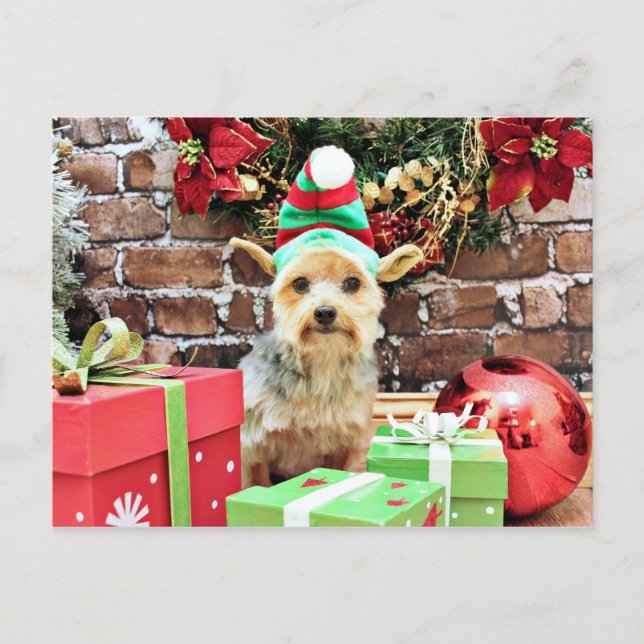 Postal Festiva Navidades - Yorkie - Vinnie #32 (Anverso)