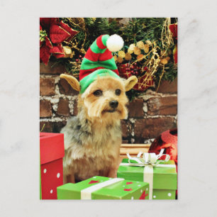 Postal Festiva Navidades - Yorkshire Terrier - Vinnie