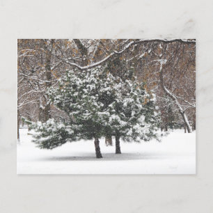 Postal Festiva Nevando