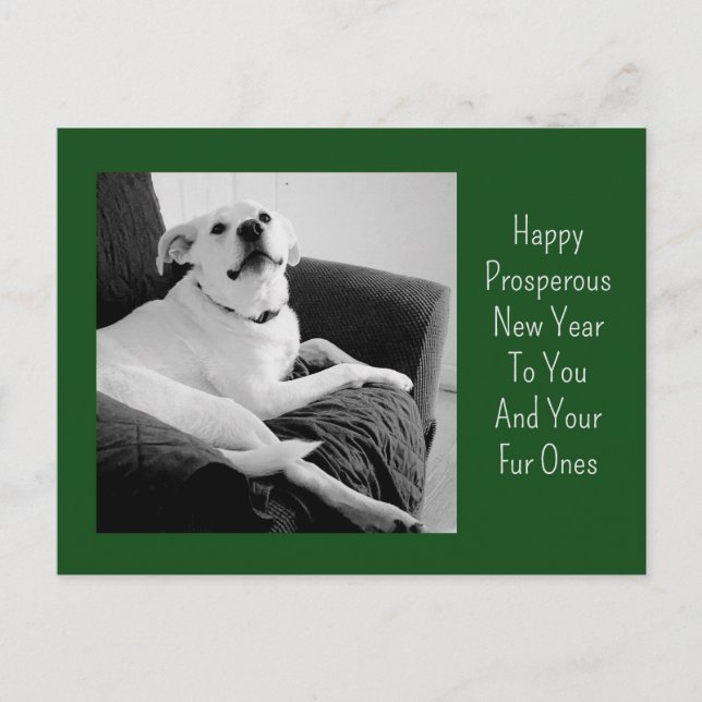 Postal Festiva New Year Black and White Photo of Cute Dog Green (Anverso)
