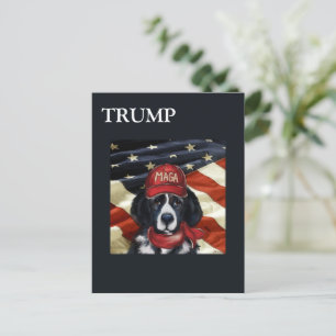 POSTAL FESTIVA NEWFOUNDLAND DOG