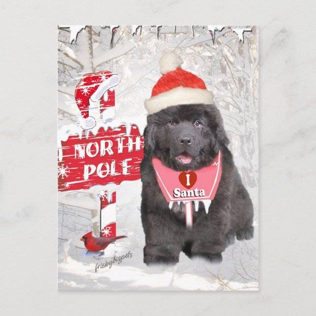 Postal Festiva Newfoundland Puppy Loves Santa Cards (Anverso)