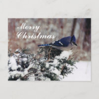 nieve azul de caracol, merry, Navidades - Post per