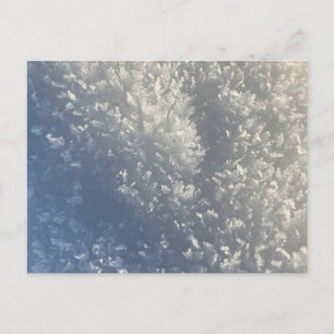 Postal Festiva Nieve Crystal Sunlight