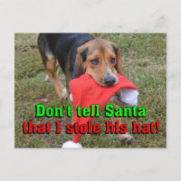 No le digas a Santa I que robó a su Gorra Beagle N