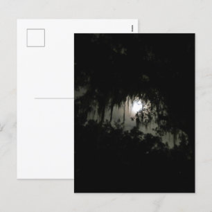Postal Festiva Noche oscura de Haunting