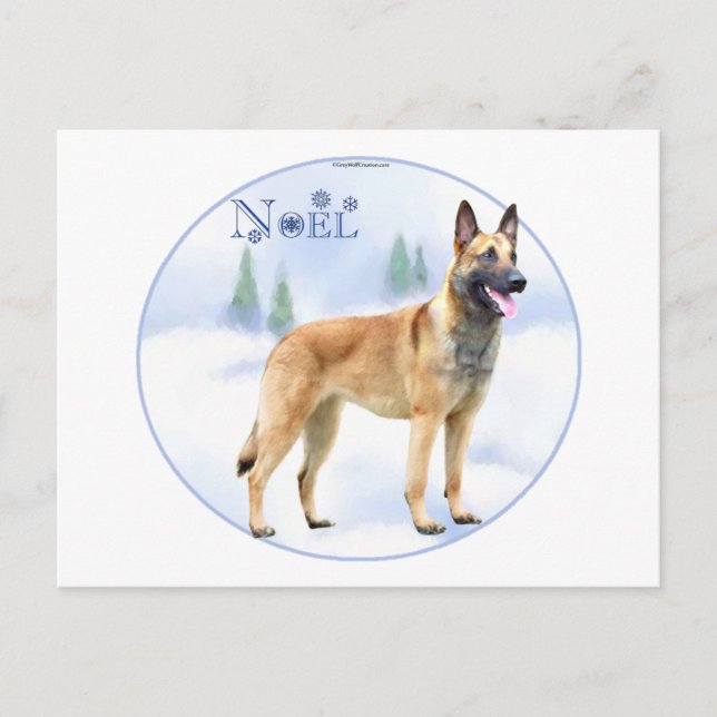 Postal Festiva Noel Belgium Malinois