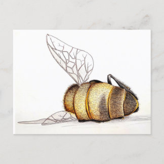 Postal Festiva ¿Nos importa?