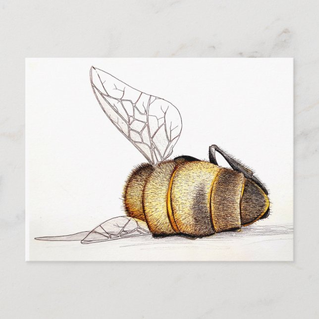 Postal Festiva ¿Nos importa? (Anverso)