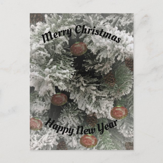 Postal Festiva Novicios del día de fiesta del alto (Anverso)