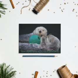 Postal Festiva Nutrias de mar absolutamente asombrosas