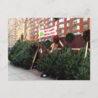 NYC Christmas Tree Stand Upper West Side Manhattan