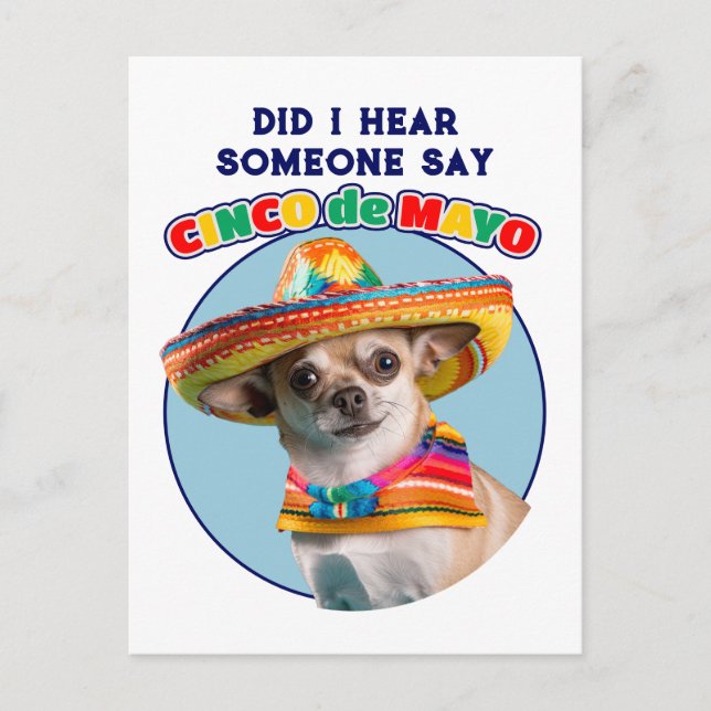 Postal Festiva ¿Oí Cinco De Mayo Sombrero Chihuahua? (Anverso)