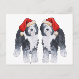 Postal Festiva Old English Sheepdog Sombrero de Santa