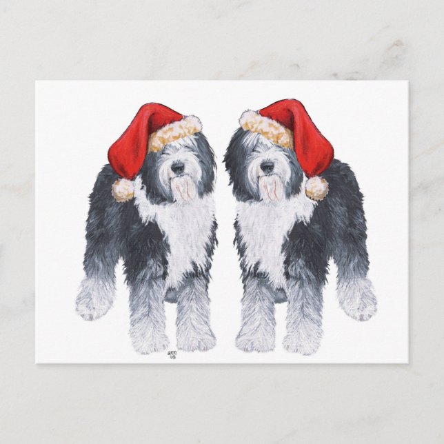 Postal Festiva Old English Sheepdog Sombrero de Santa (Anverso)
