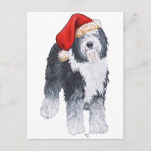 Postal Festiva Old English Sheepdog Sombrero de Santa