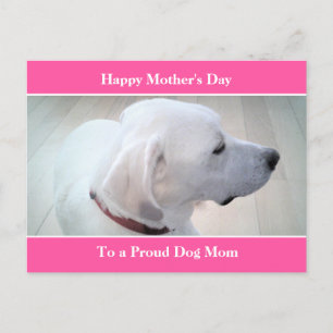 Postal Festiva Orgulloso Perro Mamá Corta Labrador Blanco Perro P